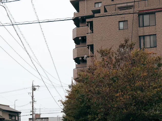 黄色い帽子をかぶって歩く子どもたち